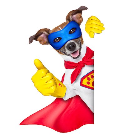 super hero dog with  red cape and a  blue mask beside a blank banner Photographie de stock - Aubaine LD & Abonnement, Code: 400-07055960