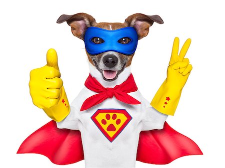 super hero dog with  red cape and a  blue mask und thumb up Stock Photo - Budget Royalty-Free & Subscription, Code: 400-07055961