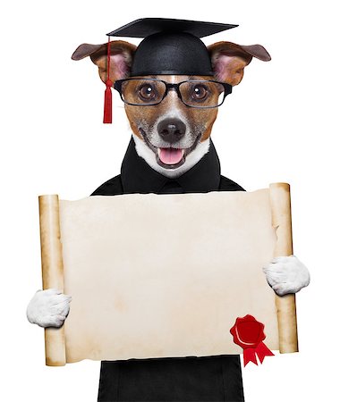 simsearch:400-08413217,k - happy graduate dog holding a big diploma Stock Photo - Budget Royalty-Free & Subscription, Code: 400-07055976