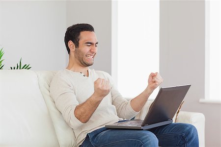simsearch:6109-08581996,k - Successful handsome man looking at his laptop while sitting in bright living room Fotografie stock - Microstock e Abbonamento, Codice: 400-07058740