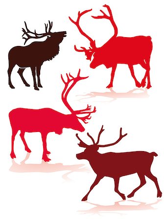 reindeer snow - reindeer Stock Photo - Budget Royalty-Free & Subscription, Code: 400-07050592