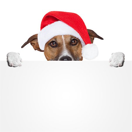 simsearch:400-08898663,k - christmas banner placeholder dog Photographie de stock - Aubaine LD & Abonnement, Code: 400-07050926