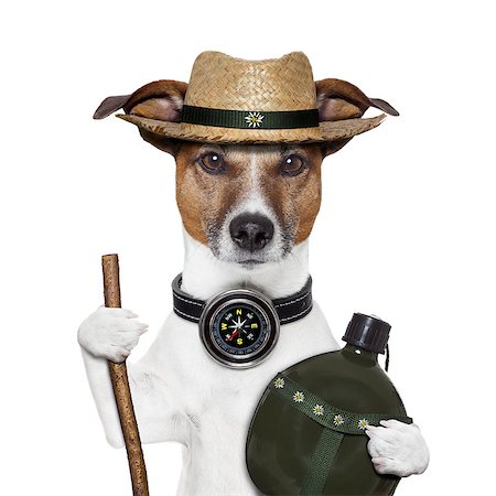 simsearch:400-06700048,k - hike compass hat dog canteen bottle Stock Photo - Budget Royalty-Free & Subscription, Code: 400-07050937