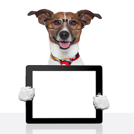 business dog tablet pc ebook computer notebook Stock Photo - Budget Royalty-Free & Subscription, Code: 400-07050940
