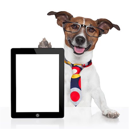 business dog tablet pc ebook computer notebook Stock Photo - Budget Royalty-Free & Subscription, Code: 400-07050941