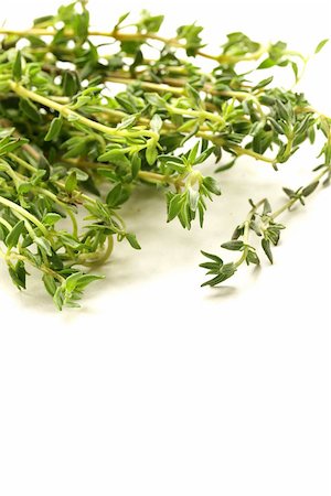 simsearch:400-05381074,k - fragrant fresh green thyme on  white background Stock Photo - Budget Royalty-Free & Subscription, Code: 400-07052373