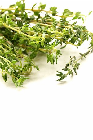 simsearch:400-05678242,k - fragrant fresh green thyme on  white background Foto de stock - Super Valor sin royalties y Suscripción, Código: 400-07052373