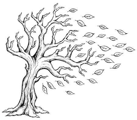 Autumn tree theme image 2 - eps10 vector illustration. Stock Photo - Budget Royalty-Free & Subscription, Code: 400-07052385