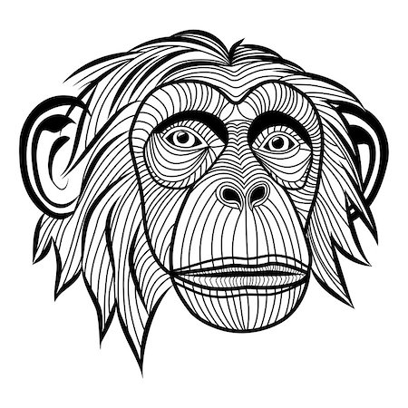 Monkey chimpanzee ape head animal, simian symbol for mascot or emblem design, logo vector illustration for t-shirt. Sketch tattoo design. Foto de stock - Super Valor sin royalties y Suscripción, Código: 400-07053384