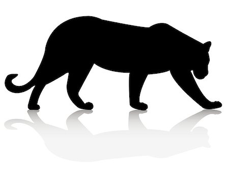 Leopard on a white background Photographie de stock - Aubaine LD & Abonnement, Code: 400-07053808