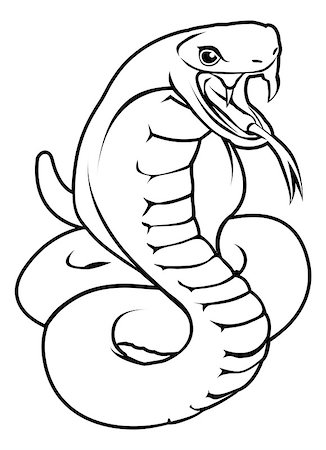 An illustration of a stylised snake or cobra perhaps a snake tattoo Stock Photo - Budget Royalty-Free & Subscription, Code: 400-07061420