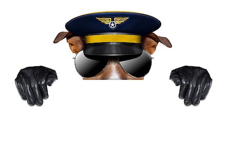 pilot captain dog hiding behind blank banner Stock Photo - Budget Royalty-Free & Subscription, Code: 400-07061486