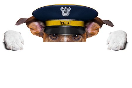 simsearch:400-04350456,k - postman mail dog hiding behind blank banner Stock Photo - Budget Royalty-Free & Subscription, Code: 400-07061489