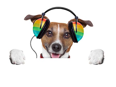 simsearch:400-07984991,k - dog listening to music from an old cassette of the 80´s Photographie de stock - Aubaine LD & Abonnement, Code: 400-07061491