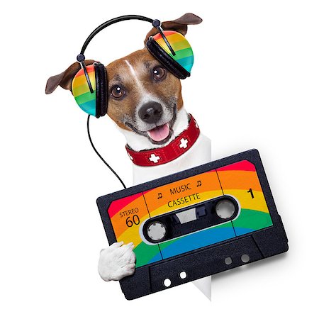 simsearch:400-07984991,k - dog listening to music from an old cassette of the 80´s Photographie de stock - Aubaine LD & Abonnement, Code: 400-07061492