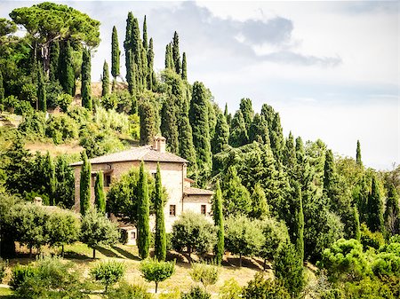 simsearch:400-07296321,k - An image of a Tuscany landscape in Italy Foto de stock - Super Valor sin royalties y Suscripción, Código: 400-07061722