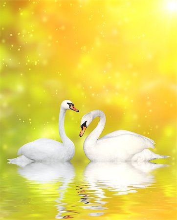 simsearch:400-08115863,k - Two white swans on yellow background Photographie de stock - Aubaine LD & Abonnement, Code: 400-07061875