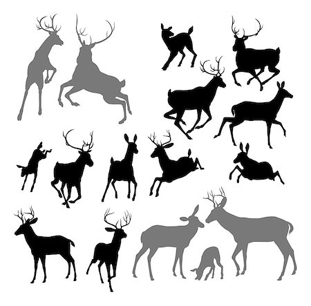 Silhouette Deer including fawn, doe bucks and stag. Also two stags fighting ans a family group set Stock Photo - Budget Royalty-Free & Subscription, Code: 400-07062357