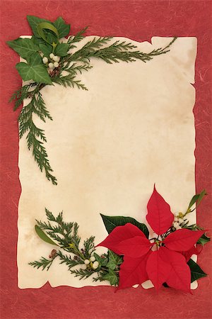 Christmas and thanksgiving poinsettia flower border with mistletoe, ivy, holly and pine leaf border over old parchment and red mottled background. Stock Photo - Budget Royalty-Free & Subscription, Code: 400-07086885