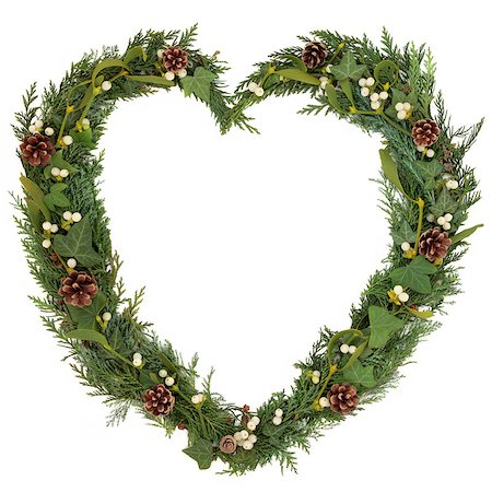 pine wreath on white - Christmas heart shaped floral wreath with mistletoe, ivy, fir, conifer leaf sprigs and pinecones over white background. Stock Photo - Budget Royalty-Free & Subscription, Code: 400-07086913