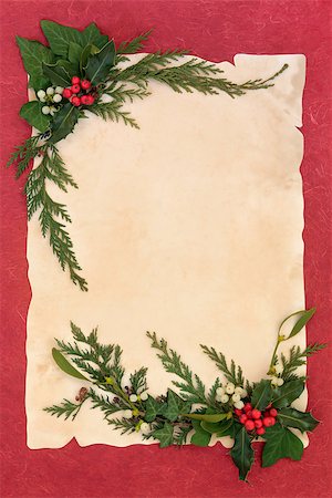 simsearch:400-06356099,k - Christmas and winter decorative border with holly, mistletoe, ivy and cedar leaf spirgs over old parchment and red mottled background. Stock Photo - Budget Royalty-Free & Subscription, Code: 400-07086979