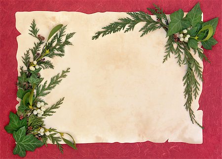 Christmas and winter border of mistletoe, ivy, fir leaf sprigs and pinecones over old parchment and red background. Stock Photo - Budget Royalty-Free & Subscription, Code: 400-07087011