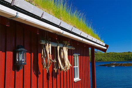 simsearch:400-06946229,k - Typical norwegian rorbu hut with sod roof and drying stock fish on Lofoten islands Foto de stock - Super Valor sin royalties y Suscripción, Código: 400-07087625