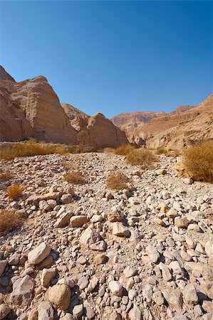 Dry Riverbed in the Judean Desert Stock Photo - Budget Royalty-Free & Subscription, Code: 400-07087919