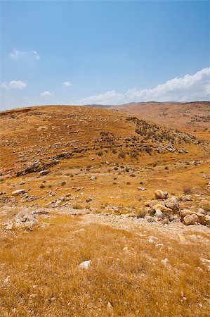 Harsh Mountainous Terrain in the West Bank, Israel Stock Photo - Budget Royalty-Free & Subscription, Code: 400-07087922