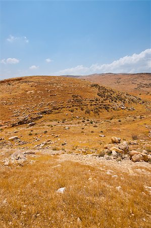 Harsh Mountainous Terrain in the West Bank, Israel Foto de stock - Super Valor sin royalties y Suscripción, Código: 400-07087922