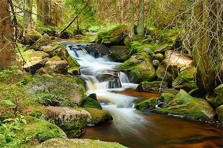 simsearch:400-06426120,k - River runs over boulders in the primeval forest - HDR Photographie de stock - Aubaine LD & Abonnement, Code: 400-07088050