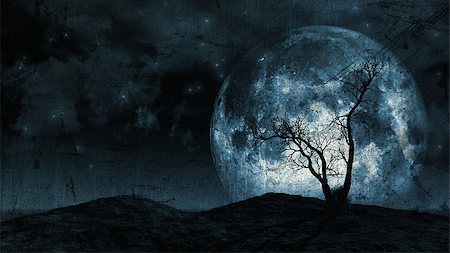 spooky night sky - Grunge background of a spooky silhouette of a tree against a large moon in a night sky Stock Photo - Budget Royalty-Free & Subscription, Code: 400-07088167