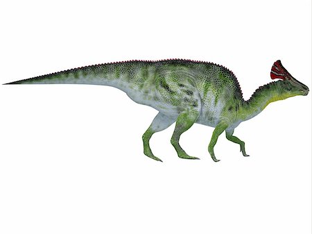 simsearch:400-07039388,k - Olorotitan was a duckbilled dinosaur with a colorful fan-shaped crest on its head and existed in the Cretaceous Period. Stockbilder - Microstock & Abonnement, Bildnummer: 400-07088789