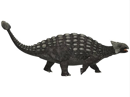 simsearch:400-07039388,k - A huge armored dinosaur, Ankylosaurus was a herbivore from the Cretaceous Era. Stockbilder - Microstock & Abonnement, Bildnummer: 400-07088807