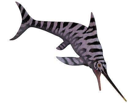 prehistoric sea monster pictures - Eurhinosaurus is an extinct genus of Ichthyosaur from the Early Jurassic of Europe. Stock Photo - Budget Royalty-Free & Subscription, Code: 400-07088815