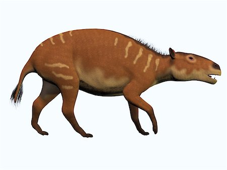 simsearch:400-04651783,k - Eurohippus is one of the ancestors of the modern horse and lived in the Eocene Period in tropical forests of Europe. Stock Photo - Budget Royalty-Free & Subscription, Code: 400-07088816