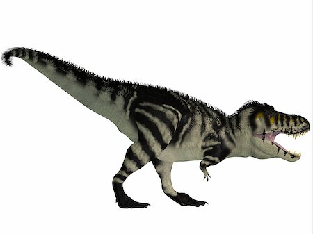 simsearch:400-07039388,k - Tyrannosaurus Rex lived in North America in the Cretaceous Period and was an intimidating predator. Stockbilder - Microstock & Abonnement, Bildnummer: 400-07088827