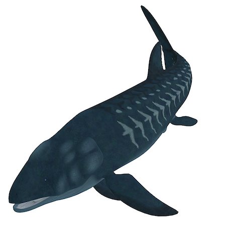 simsearch:400-07983570,k - Leedsichthys is a giant member of an extinct group of Mesozoic bony fish that lived during the Jurassic Period. Stock Photo - Budget Royalty-Free & Subscription, Code: 400-07088822