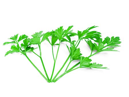 simsearch:400-05381074,k - Isolated bunch curly parsley on white Stock Photo - Budget Royalty-Free & Subscription, Code: 400-07088876