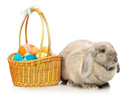 simsearch:400-08036285,k - gray lop-earred rabbit and Easter basket, isolated on white Stockbilder - Microstock & Abonnement, Bildnummer: 400-07088882