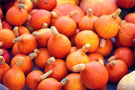 simsearch:400-07089027,k - Small orange pumpkins Stock Photo - Budget Royalty-Free & Subscription, Code: 400-07089027