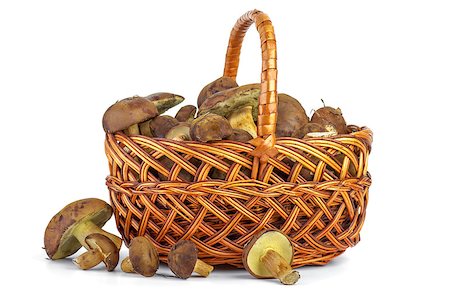 simsearch:859-03600840,k - Wicker basket with yellow boletus mushrooms near isolated on the white background Stock Photo - Budget Royalty-Free & Subscription, Code: 400-07089161