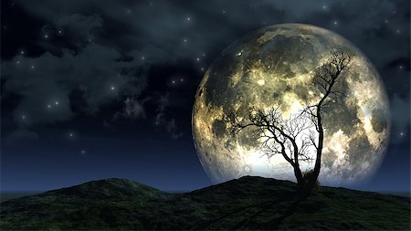 spooky night sky - Spooky silhouette of a tree against a large moon in a night sky Stock Photo - Budget Royalty-Free & Subscription, Code: 400-07089606