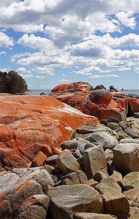 Bay of Fires, one of the most beautiful beaches of the world. Tasmania, Australia Foto de stock - Super Valor sin royalties y Suscripción, Código: 400-07094347