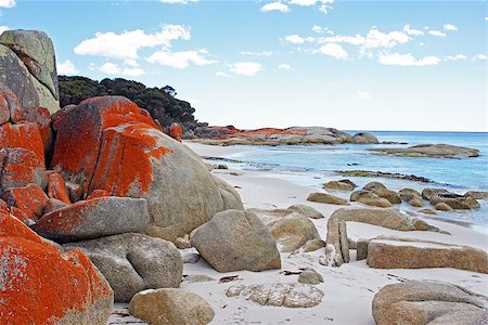 Bay of Fires, one of the most beautiful beaches of the world. Tasmania, Australia Foto de stock - Super Valor sin royalties y Suscripción, Código: 400-07094351