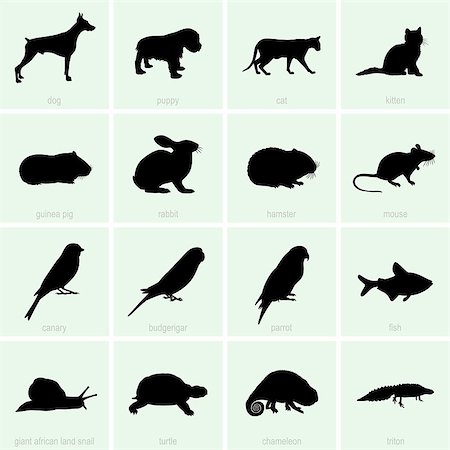 denis_barbulat (artist) - Set of Pet icons Stock Photo - Budget Royalty-Free & Subscription, Code: 400-07094587