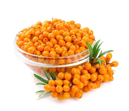 Sea buckthorn berries branch on a white background Stock Photo - Budget Royalty-Free & Subscription, Code: 400-07094924