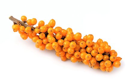Sea buckthorn berries branch on a white background Stock Photo - Budget Royalty-Free & Subscription, Code: 400-07094921