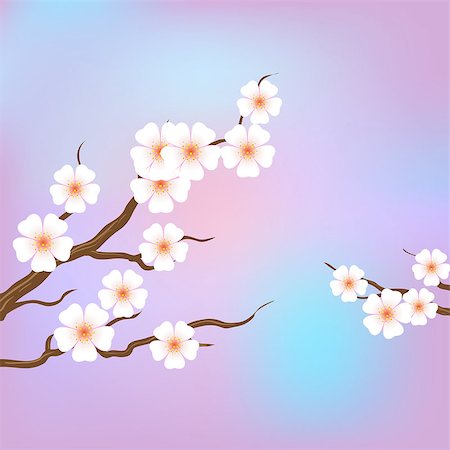 Spring border background with pink blossom Stock Photo - Budget Royalty-Free & Subscription, Code: 400-07094996