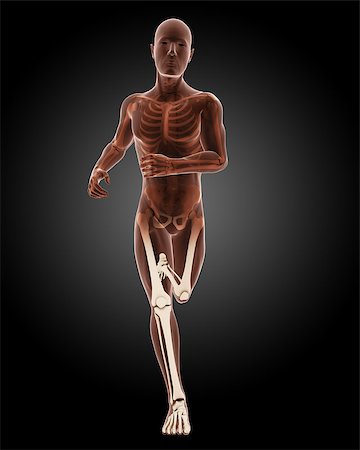 simsearch:400-04280645,k - 3D render of a running male medical skeleton Photographie de stock - Aubaine LD & Abonnement, Code: 400-07095224